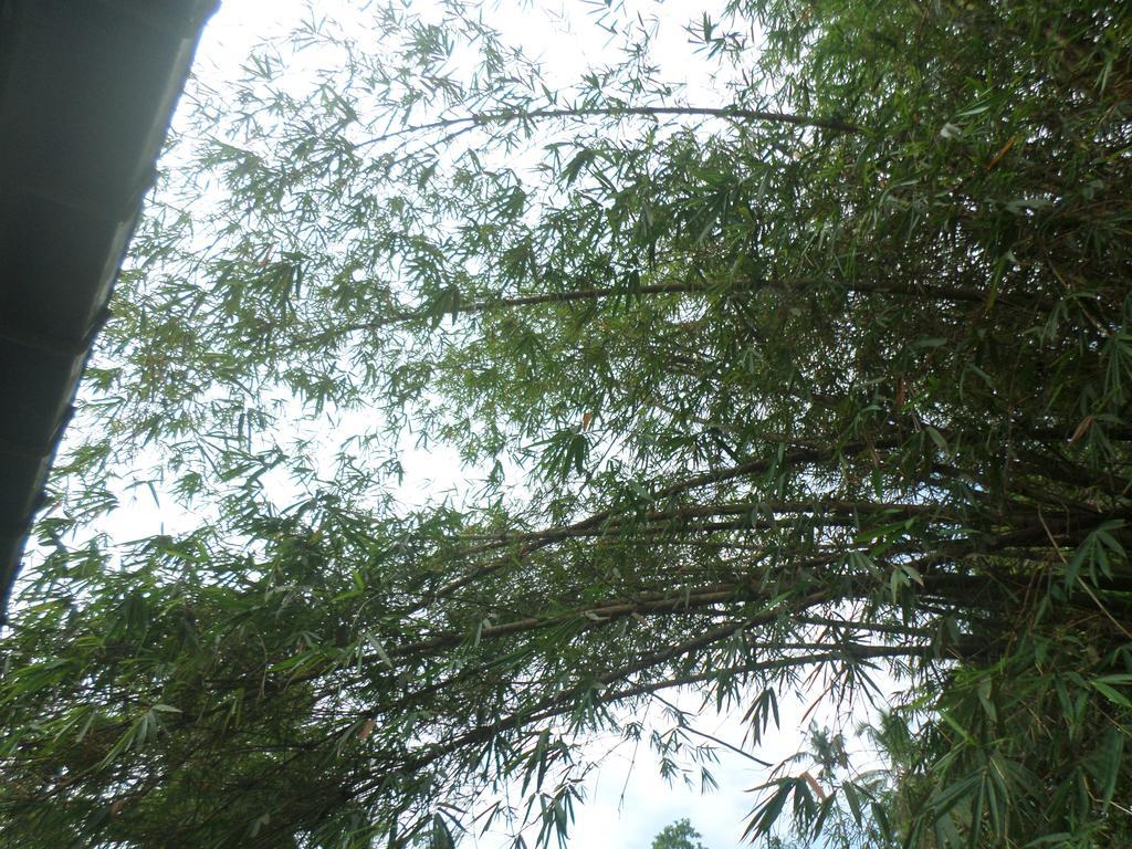 La Villa Unawatuna Buitenkant foto